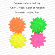 Load image into Gallery viewer, Rubber Squeak Toy for Dog