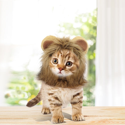 Cat Costume Lion Mane Wig Halloween