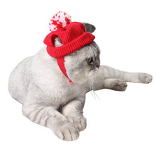 Load image into Gallery viewer, Christmas Holiday Dog Cat Pet