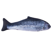 Load image into Gallery viewer, Pet Soft Plush Creative 3D Carp Fish
