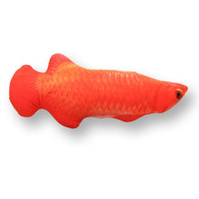 Load image into Gallery viewer, Pet Soft Plush Creative 3D Carp Fish