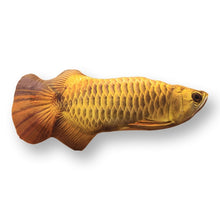 Load image into Gallery viewer, Pet Soft Plush Creative 3D Carp Fish