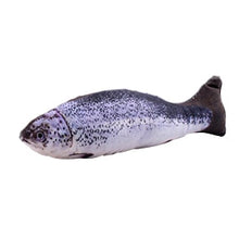 Load image into Gallery viewer, Cat Toys Fish 3D Simulation Fish