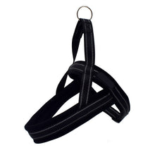Load image into Gallery viewer, Nylon Reflective Dog