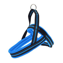 Load image into Gallery viewer, Nylon Reflective Dog