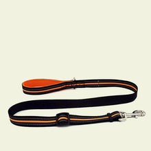 Load image into Gallery viewer, Nylon Reflective Dog