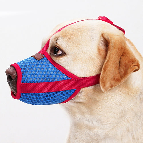 Breathable Air Mesh Dog